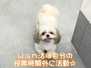 モデル犬たちのためのＷａｎ活♪
